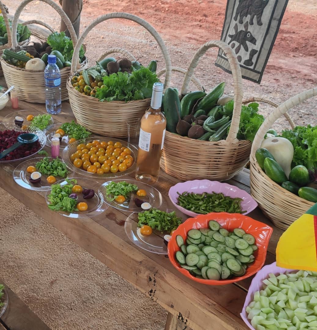 Récolte de légumes
