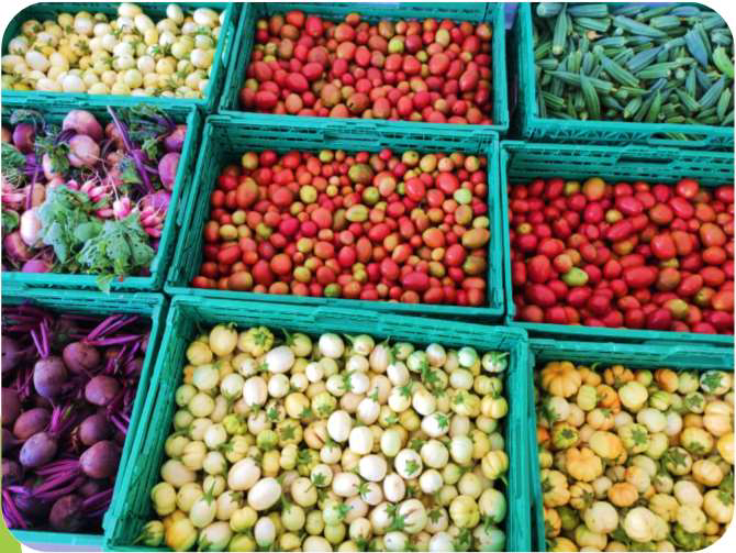 Grappes de tomates