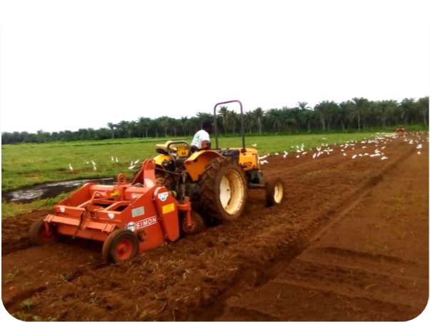 Tracteur en préparation du sol