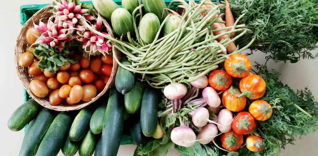 Cagettes de légumes colorés